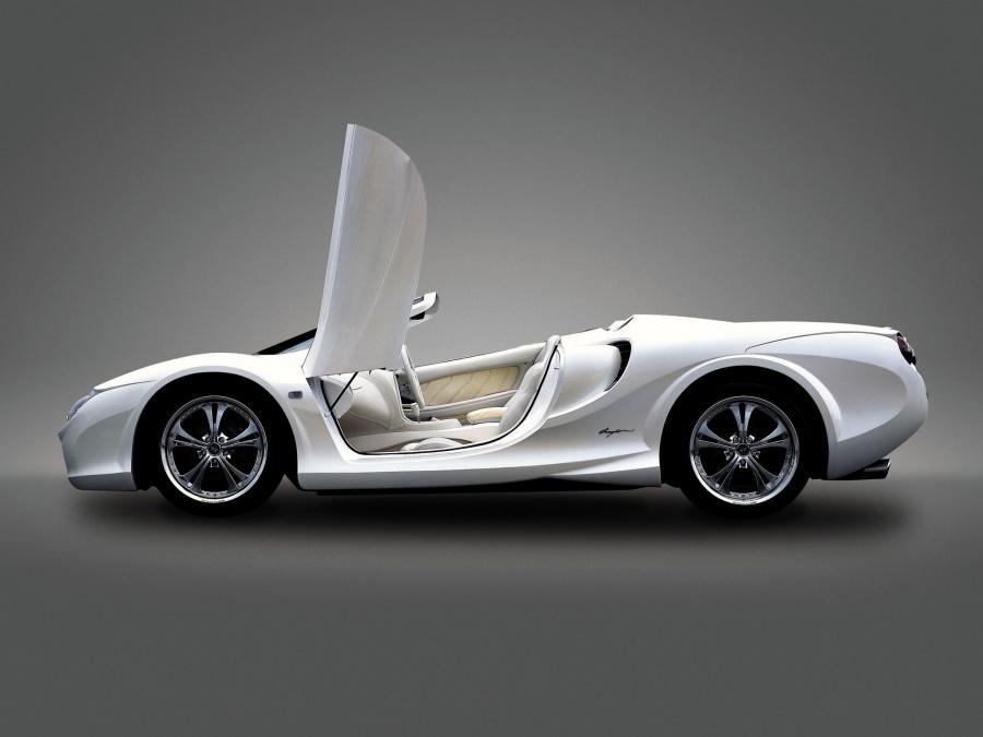  Mitsuoka Orochi Nude Top 2005 года  (фото 4 из 4)